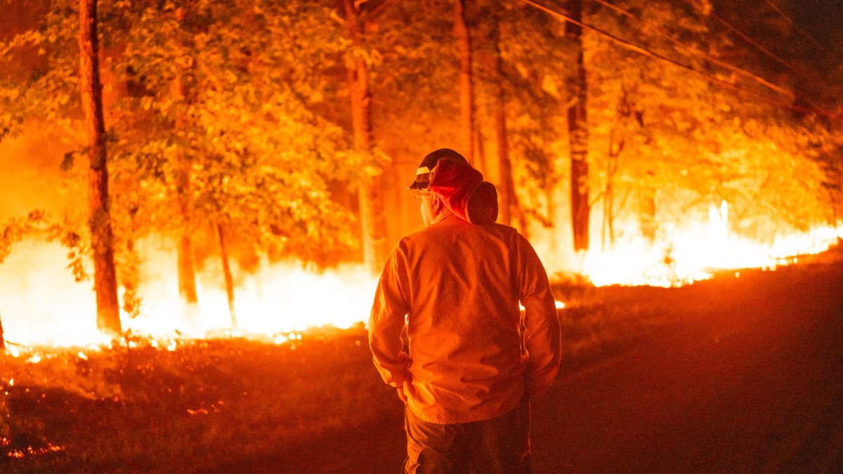 Wildfire burning in Burlington County is now 100% contained: New