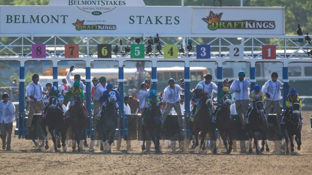 2023 Belmont Stakes: Horses, post positions, more – NBC10 Philadelphia