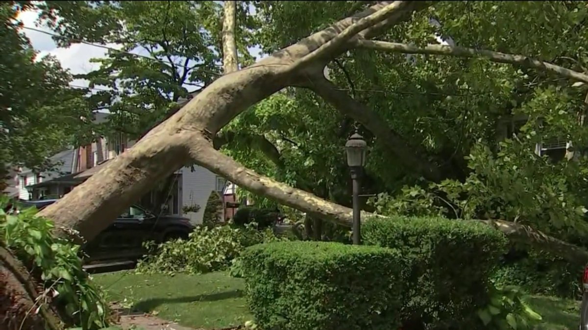 South Jersey residents and crews spent the day cleaning up storm damage ...