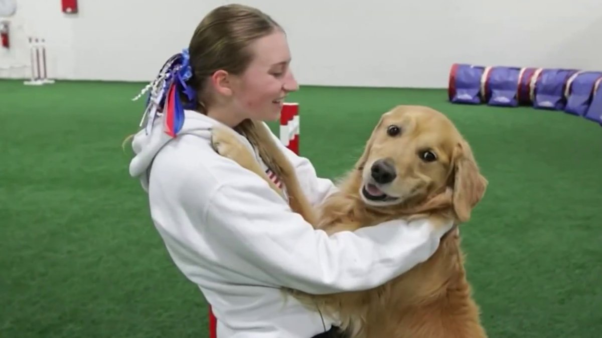 This dog (and its trainer) are ready to show off ‘Agility’ at world