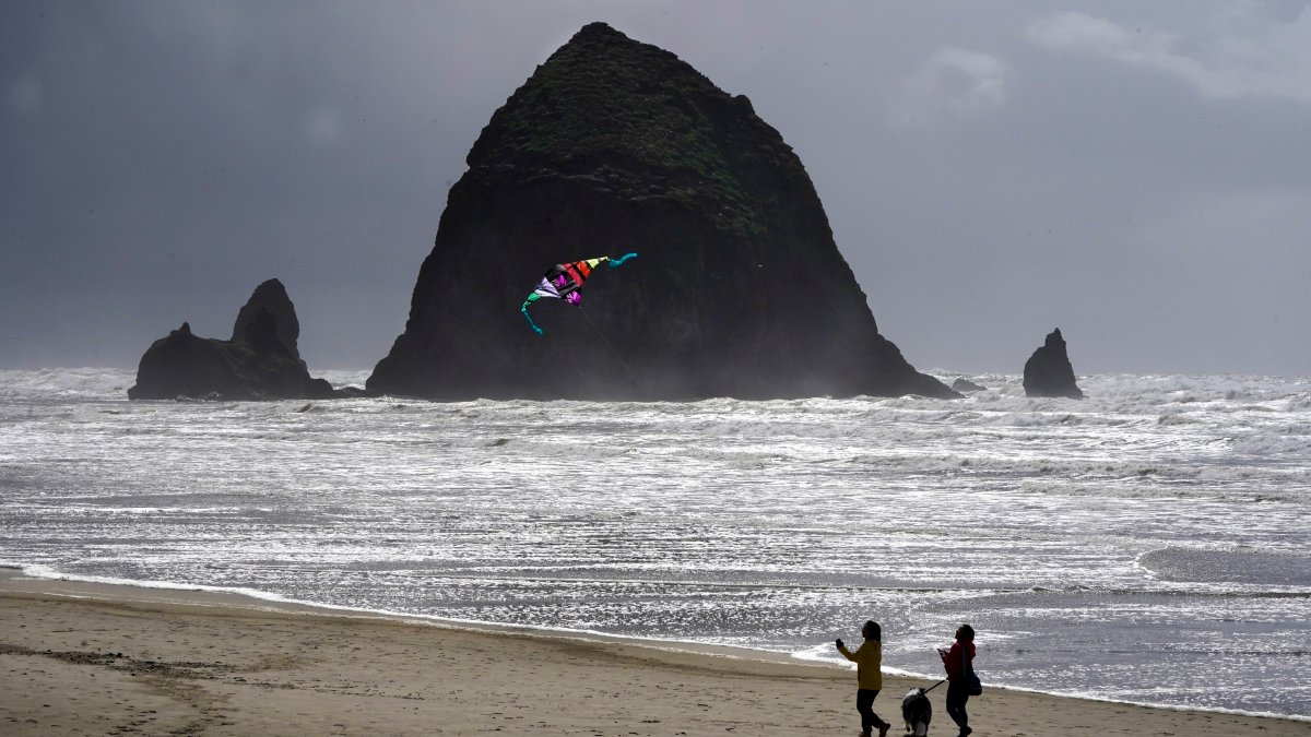 Oregon's Cannon Beach reopens after cougar sighting – NBC10 Philadelphia - Vimarsana News