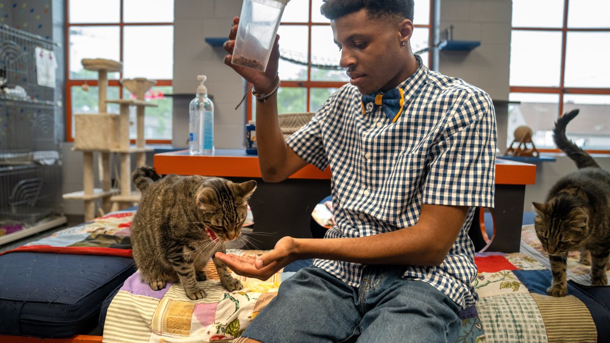 Teen's mission is to save shelter animals one bow tie at a time – NBC10 Philadelphia - Vimarsana News