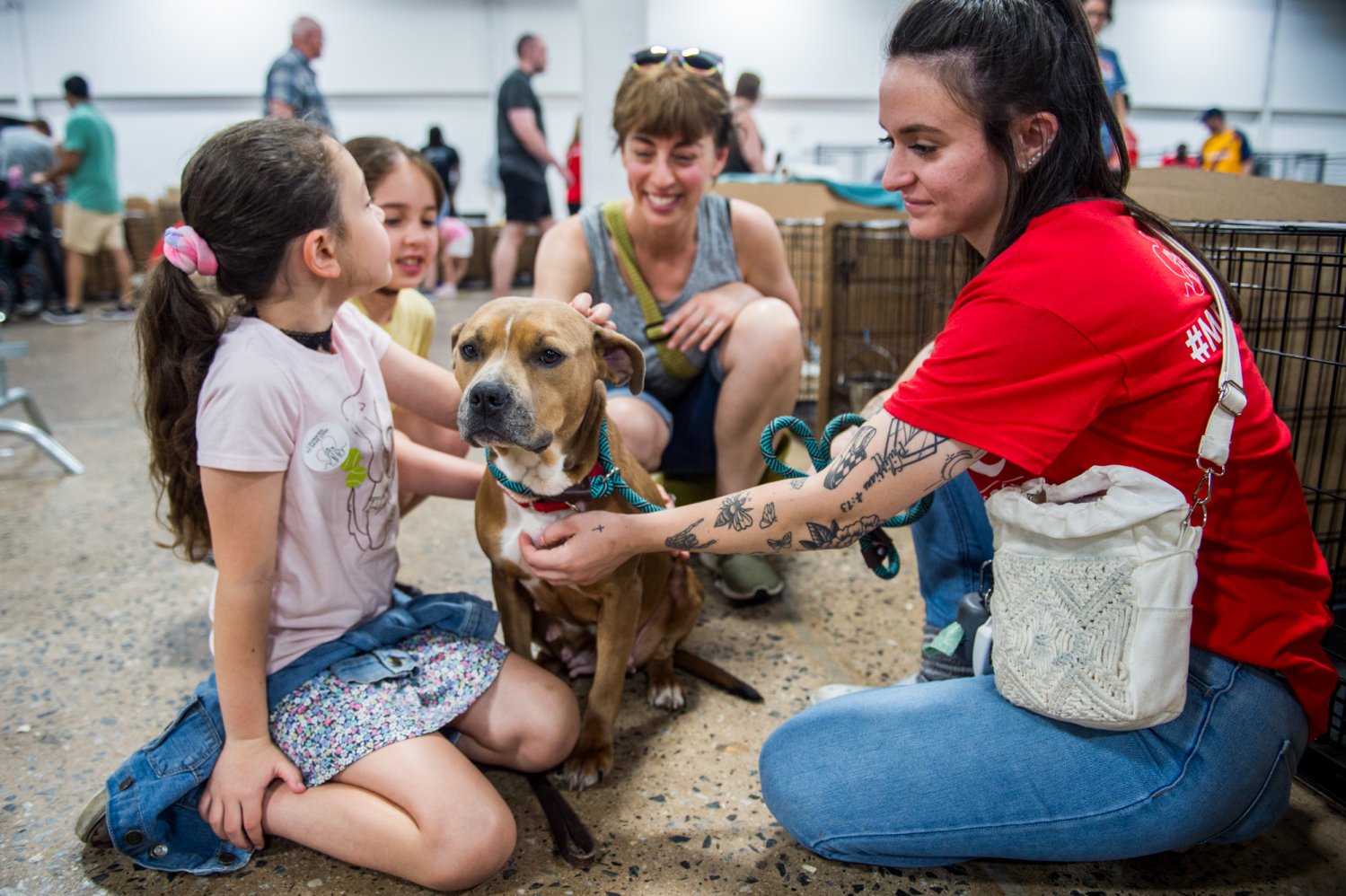 1469 pets adopted at Brandywine Valley SPCA’s mega adoption event