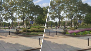 Split photo shows Sister Cities Garden before and then after the new pollinating plants are introduced