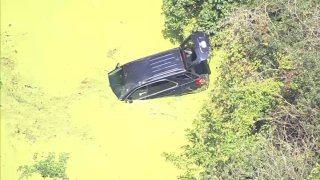 Vehicle in green-covered pond