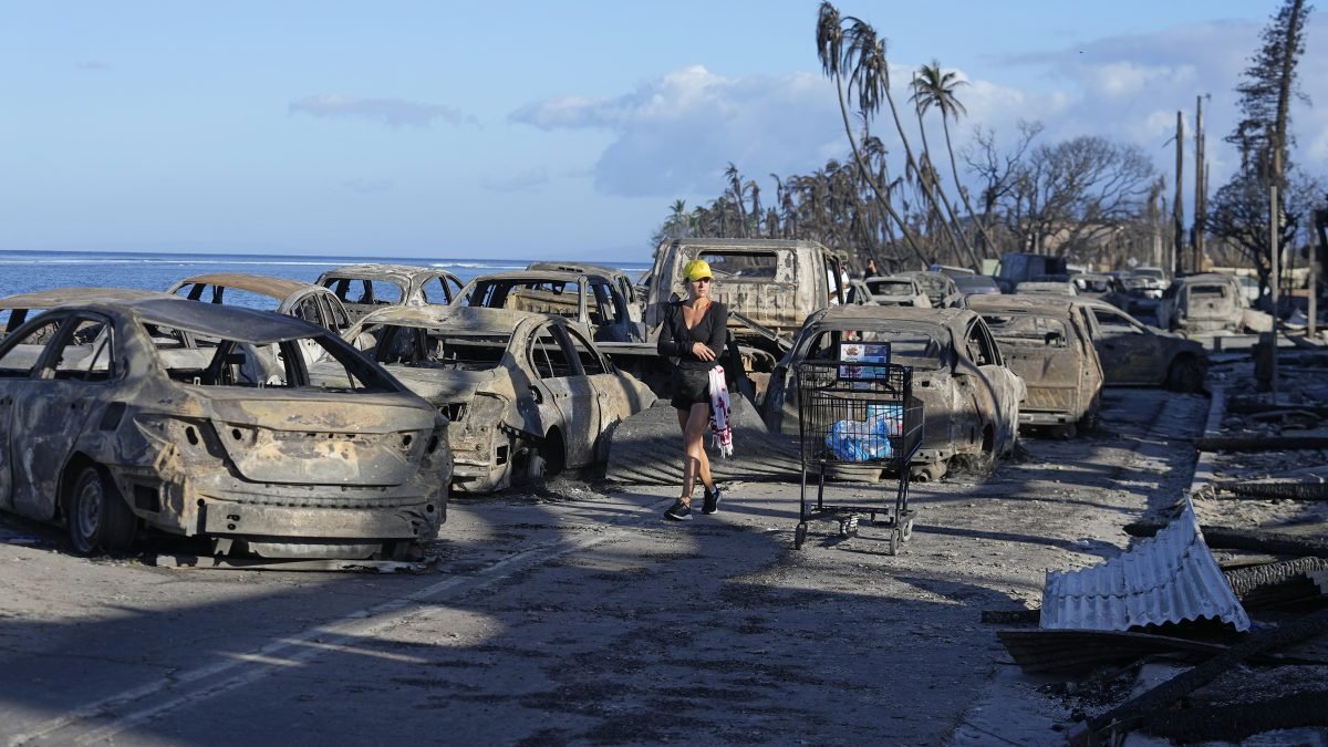 Maui wildfire victims receive help from Paradise fire survivors – NBC10 Philadelphia - Vimarsana News