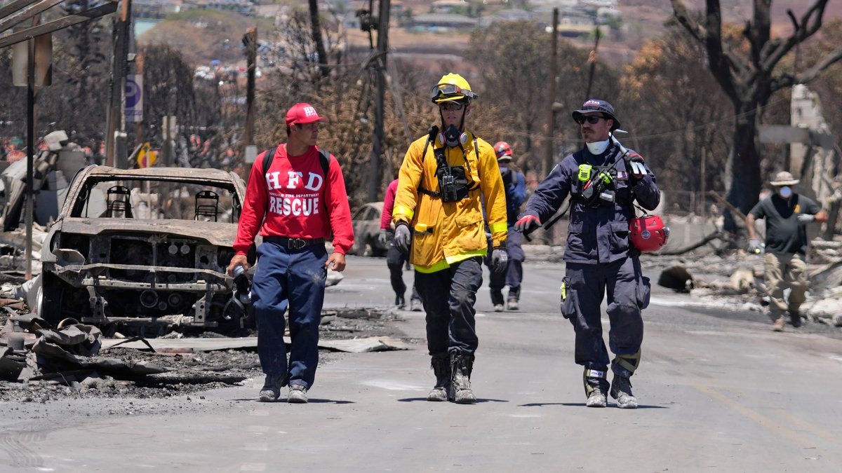 Here's how authorities plan to identify the victims of Maui's wildfires – NBC10 Philadelphia - Vimarsana News