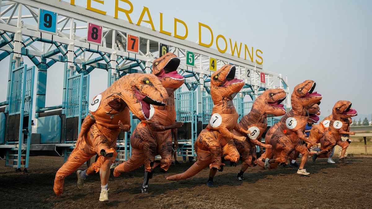 T-Rex's race to photo finish at Washington state track – NBC10 Philadelphia - Vimarsana News