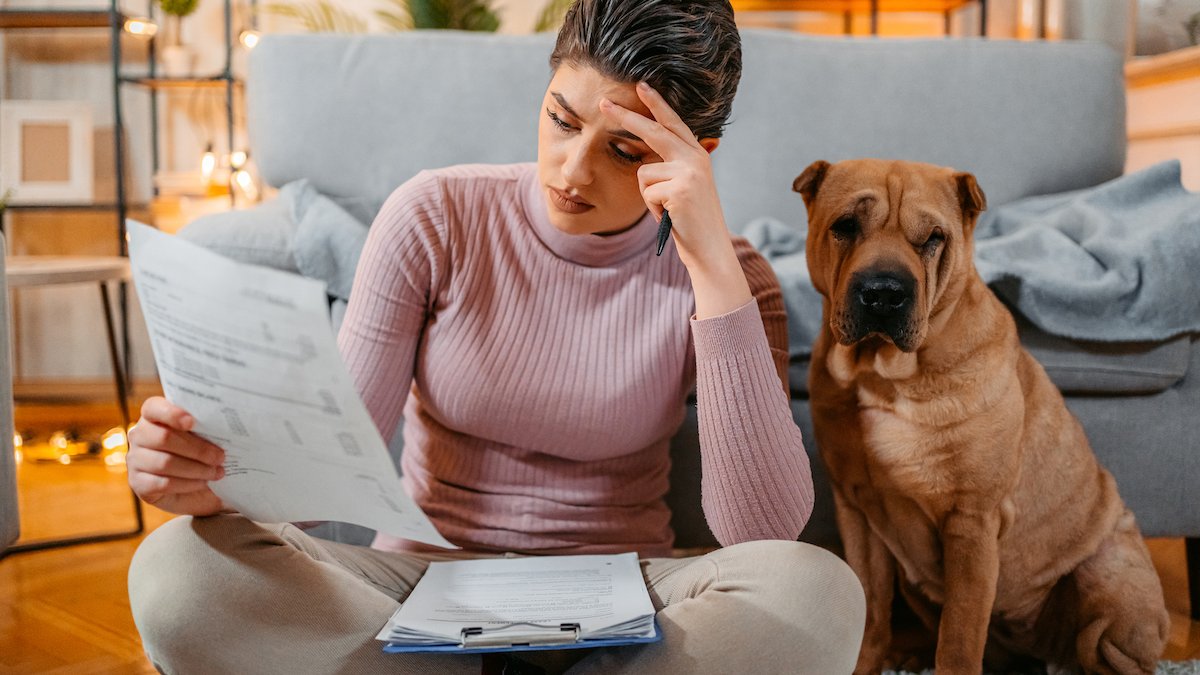 As pet insurance becomes more popular, pet owners fret about rising prices, denied claims – NBC10 Philadelphia - Vimarsana News