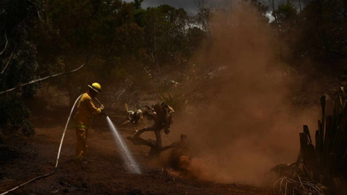 Hawaii electric company says power lines did not cause deadly Maui wildfire – NBC10 Philadelphia - Vimarsana News