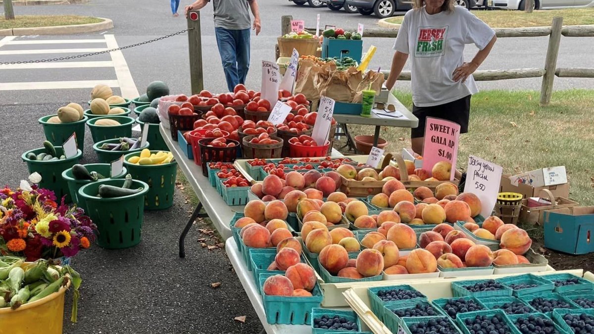 Free 50 farmers market vouchers available for senior citizens NBC10