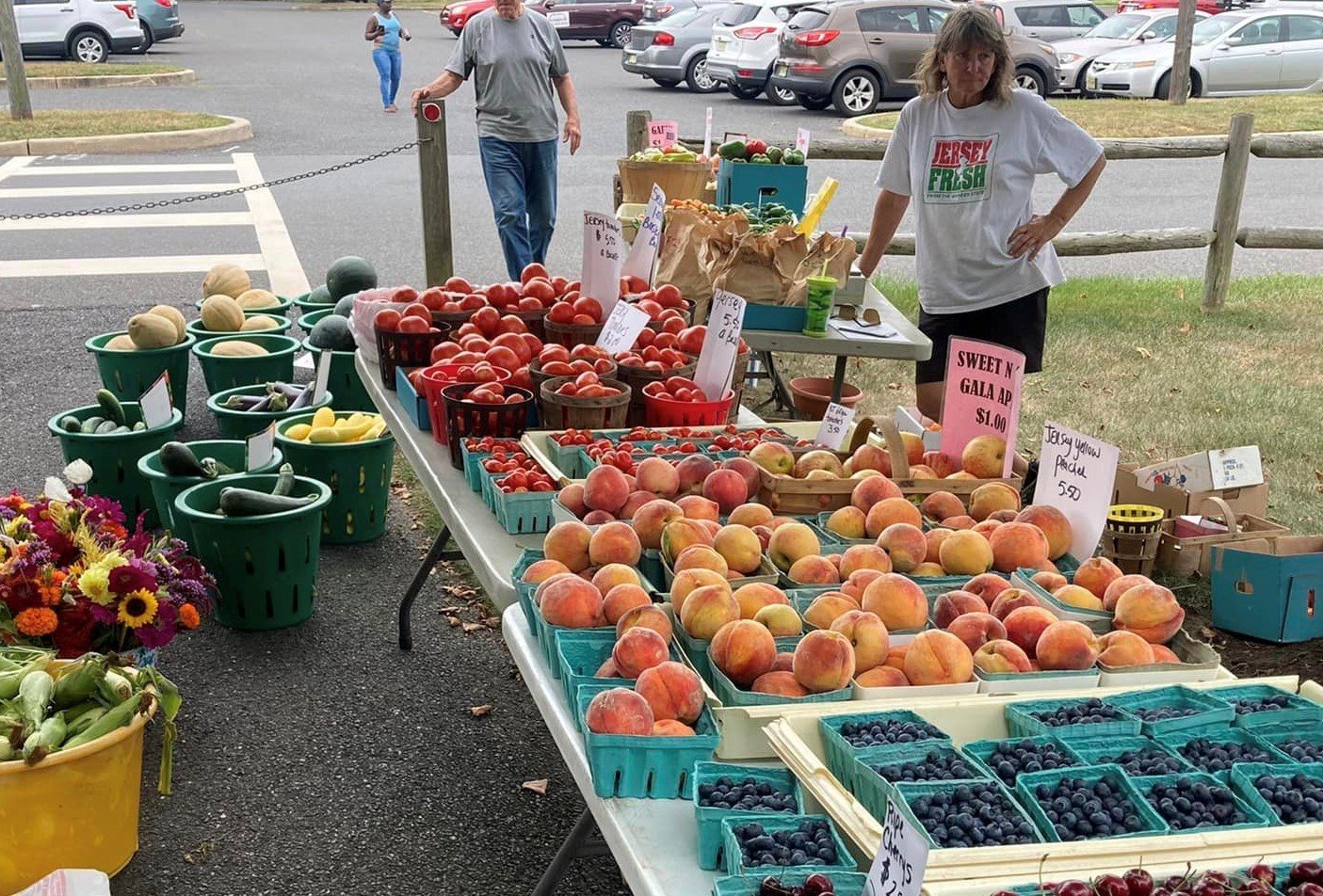 Free $50 farmers market vouchers available for senior citizens – NBC10 Philadelphia - Vimarsana News
