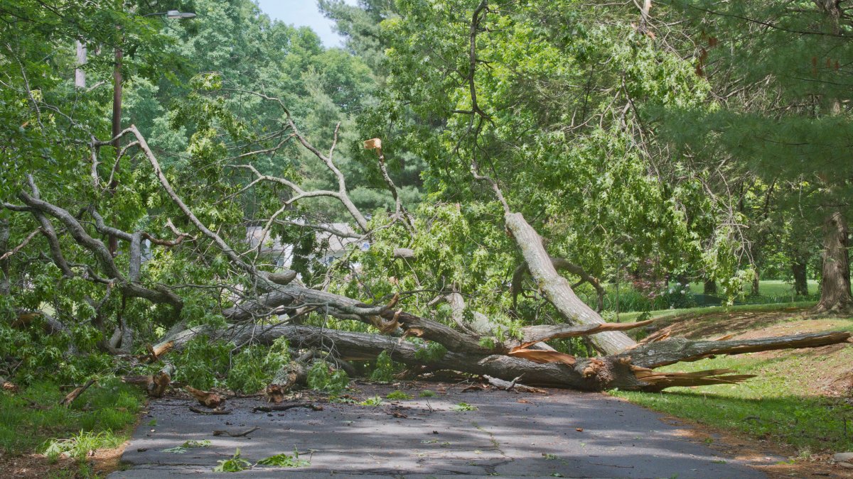EF-2 tornado injured 6 people and damaged homes in Pa. – NBC10 Philadelphia - Vimarsana News