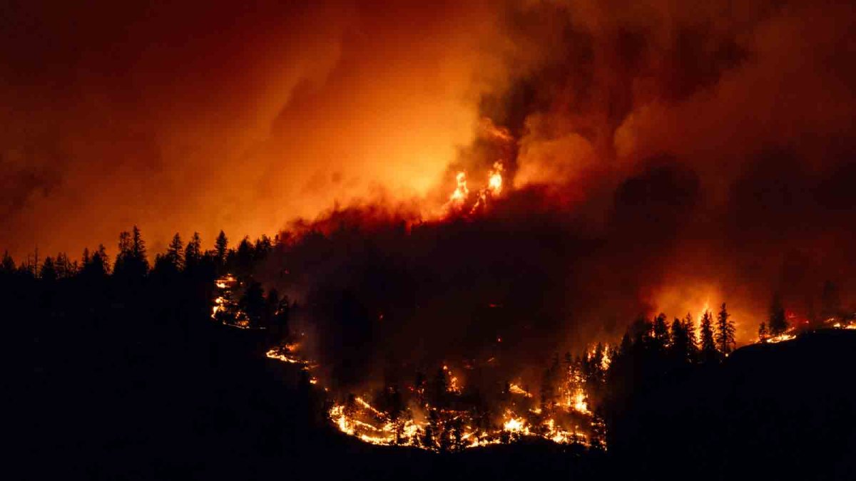 Canadian firefighters battling wildfires to save communities – NBC10 Philadelphia - Vimarsana News