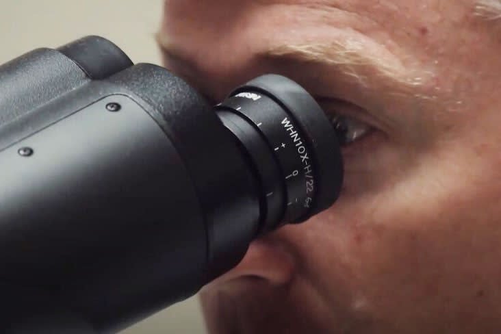 Google and the Department of Defense are building an AI-powered microscope to help doctors spot cancer - Vimarsana News