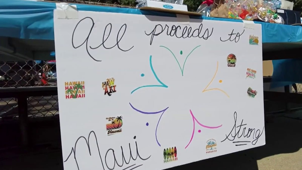 Fair Blue Swim Club held an auction on Labor Day to raise funds in