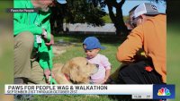 Wag and Walk for Paws for People