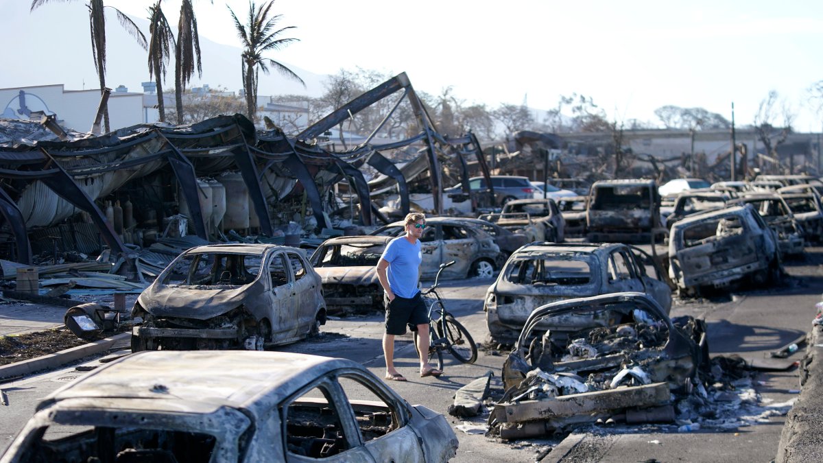 Maui wildfires death toll drops to 97 after DNA testing – NBC10 Philadelphia - Vimarsana News