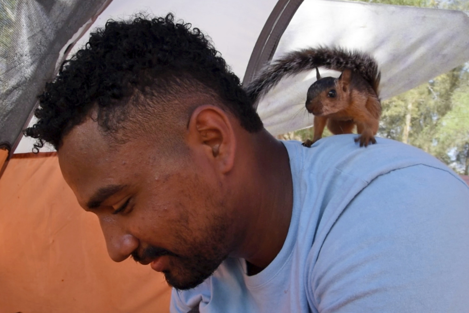 In this image taken from video, Niko, a pet squirrel, stands on the shoulder of Yeison in their tent at a migrant camp on Wednesday, Sept. 20, 2023 in Matamoros, Mexico.