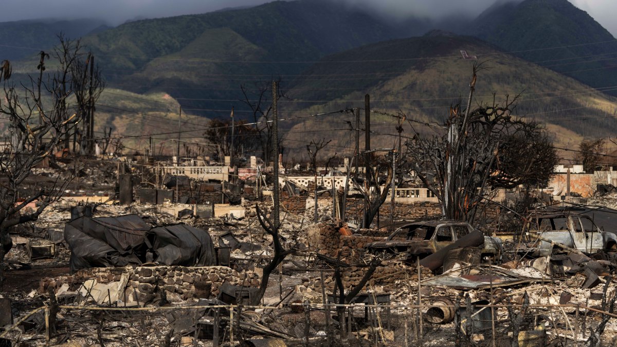 Hawaiian Electric at center of first congressional hearing on Maui wildfires – NBC10 Philadelphia - Vimarsana News