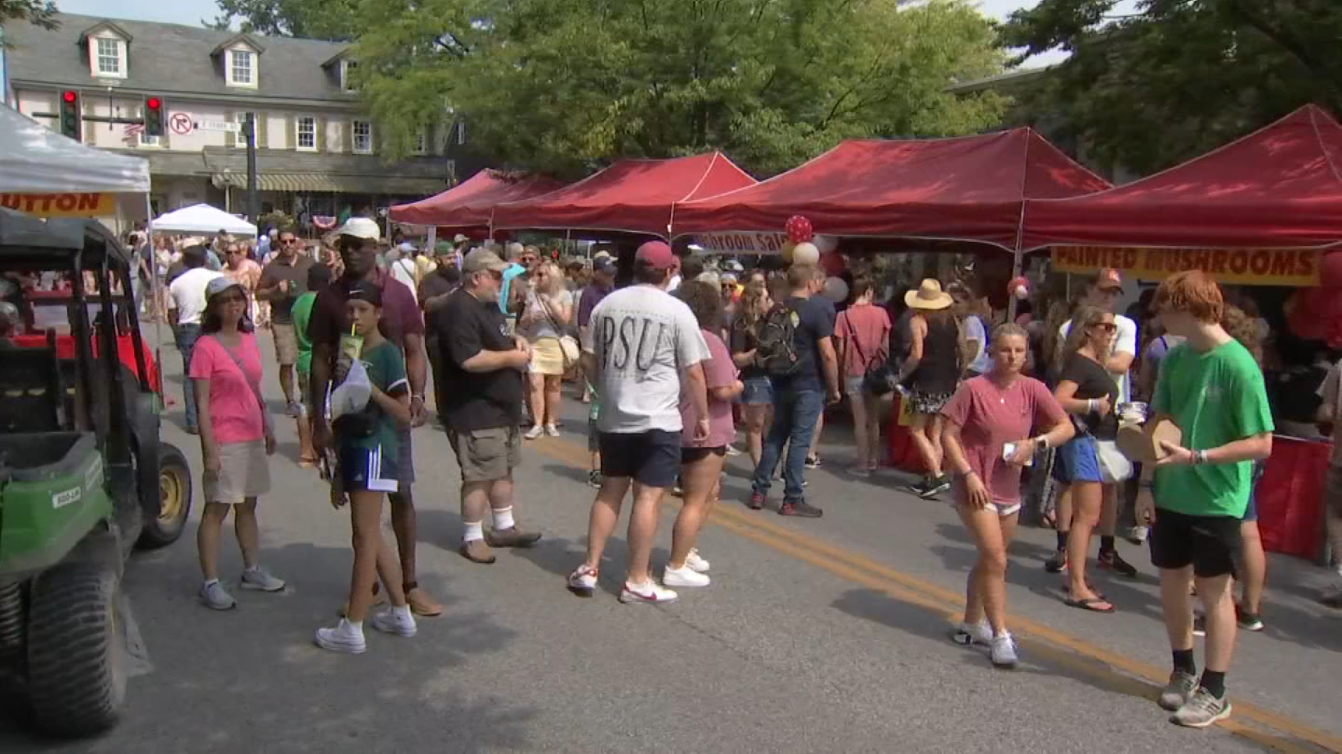 Flea Repellent: Inside the World of Karen's Flea Market - The Lost