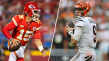 TV announces NFL Sunday Ticket and NFL Red Zone pricing for 2023 -  Arrowhead Pride