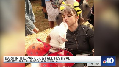 Bark in the Park' raises money, helps animals find forever homes