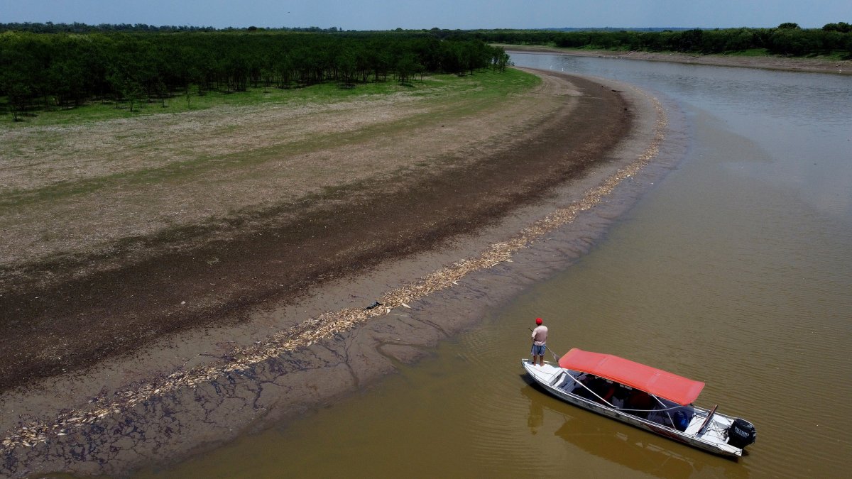 Brazil's Amazon faces drought and high water temperatures, causing more than 100 dolphins to die – NBC10 Philadelphia - Vimarsana News