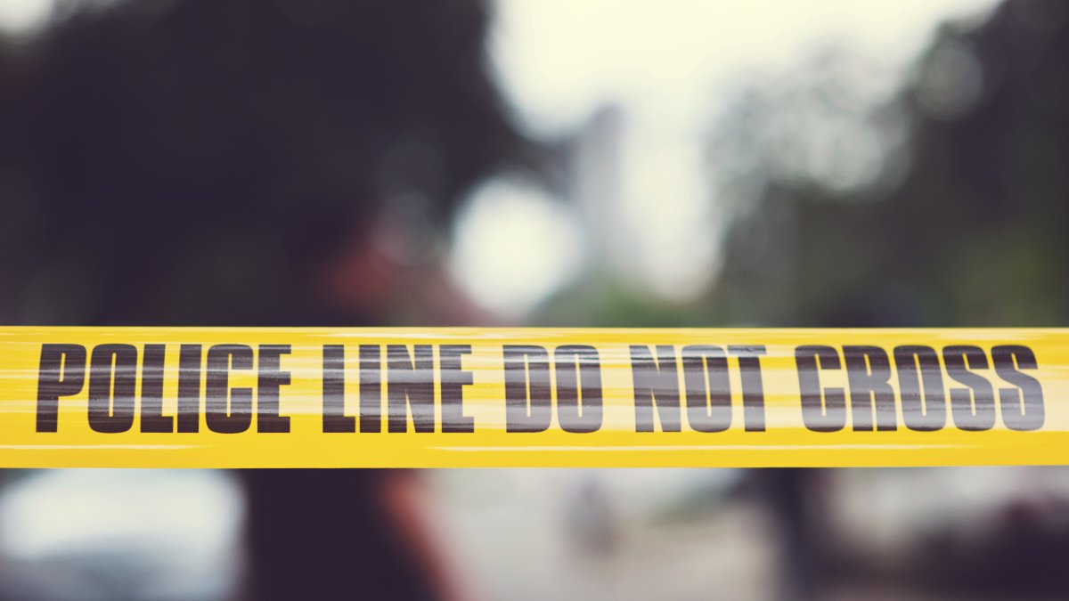 Man accused of stabbing mother to death inside Delaware home, hiding evidence