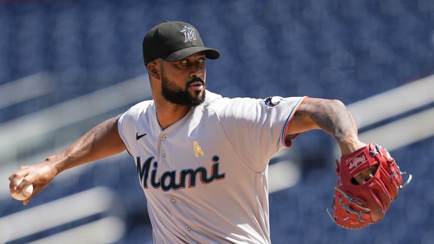 Cat Crashes Miami Marlins Baseball Game, Becomes Rally Cat