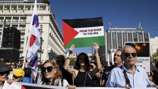 Pro-Palestinian protesters take part in a rally