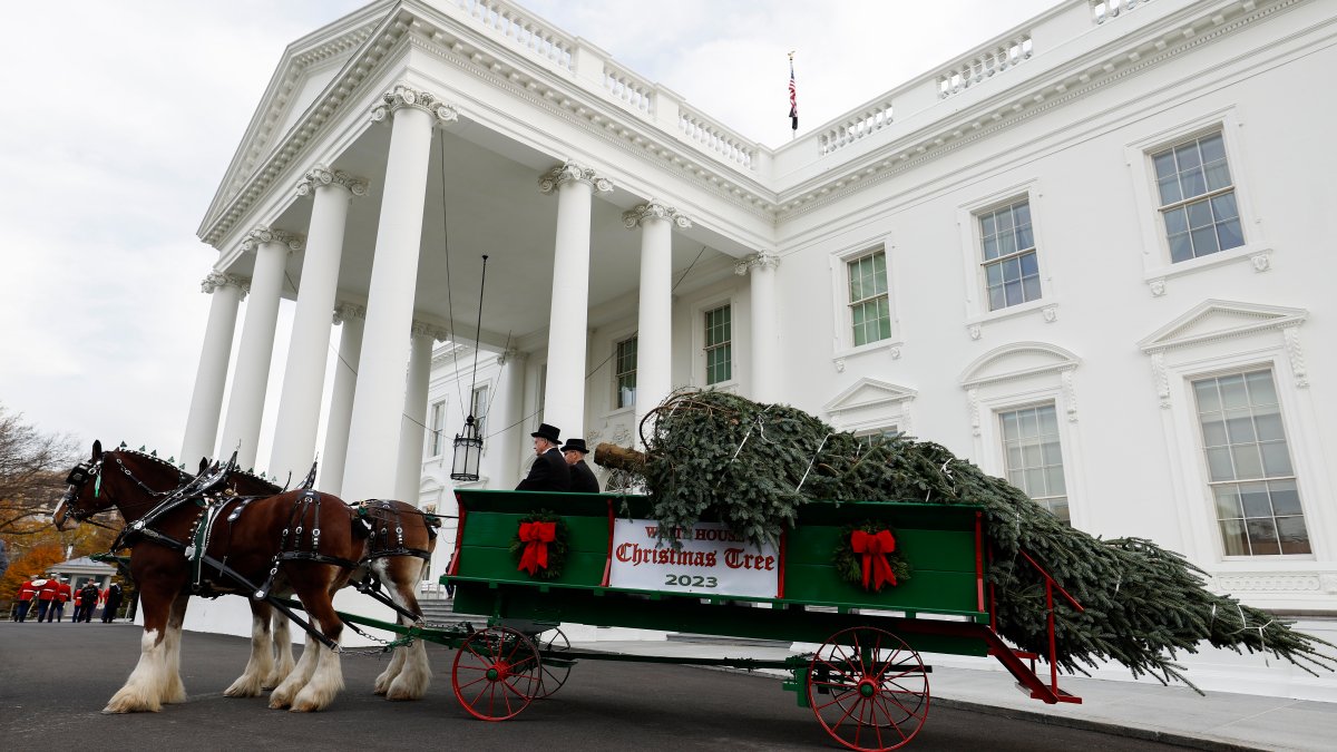 See the 2023 White House holiday decorations – NBC10 Philadelphia - Vimarsana News