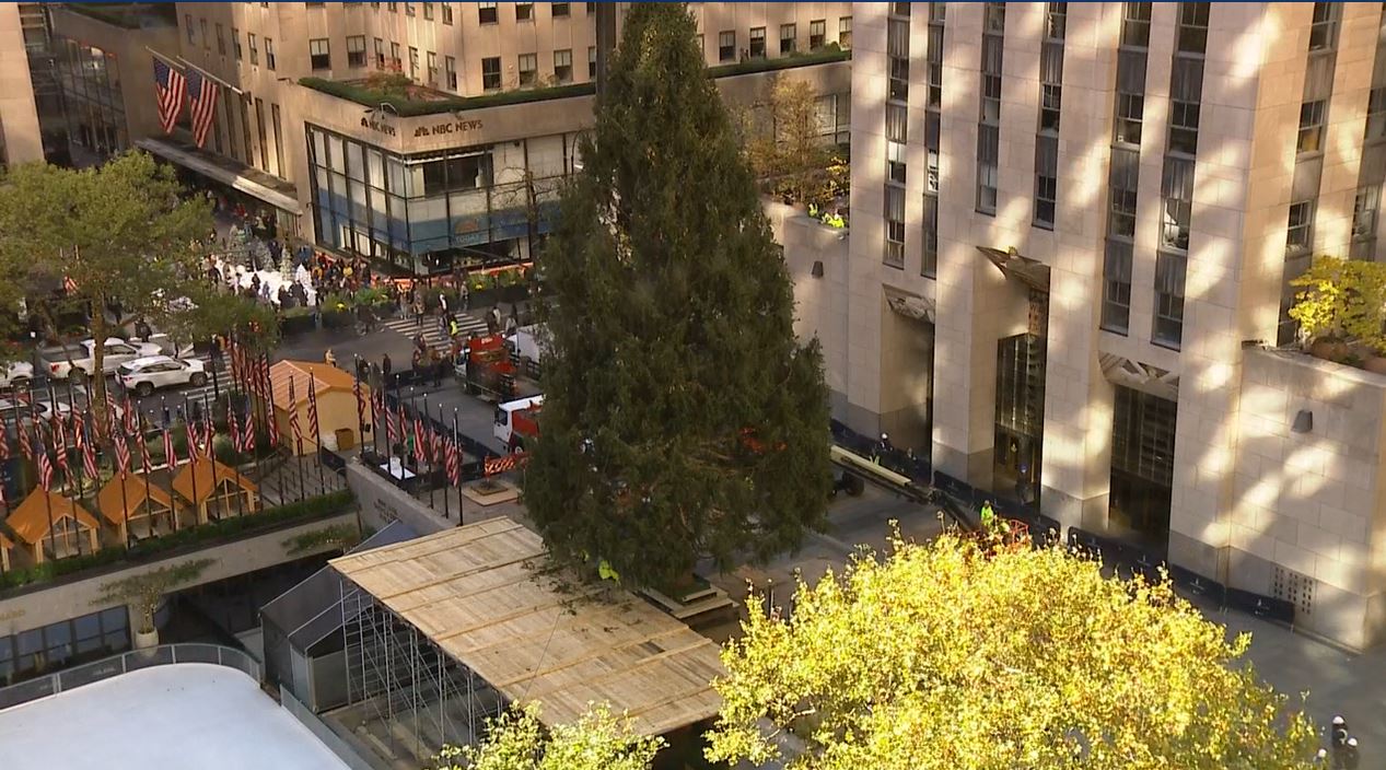 Rockefeller Center Christmas Tree arrives in New York City NBC10 Philadelphia