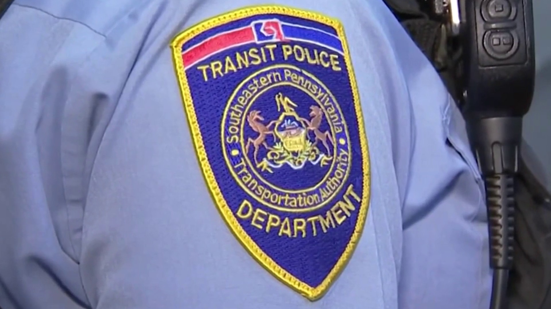 report writing on school bus accident