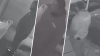 Police release video of suspect in deadly shooting outside West Philly bar