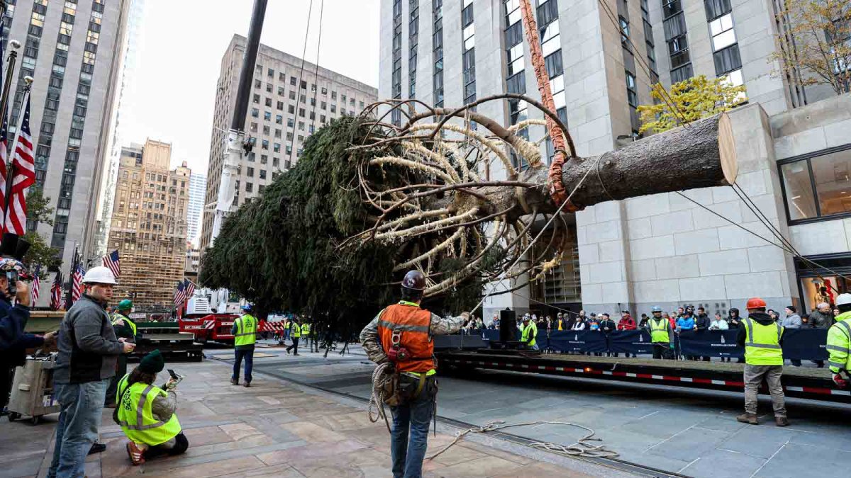 Answers to 25 big questions about the Rockefeller Center Christmas tree