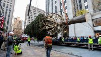 Answers to 25 big questions about the Rockefeller Center Christmas tree