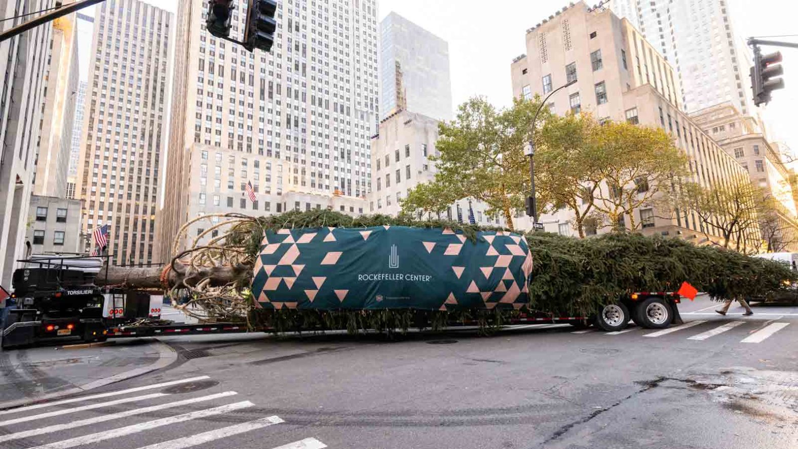 Who picks the Rockefeller Center Christmas tree? – NBC10 Philadelphia