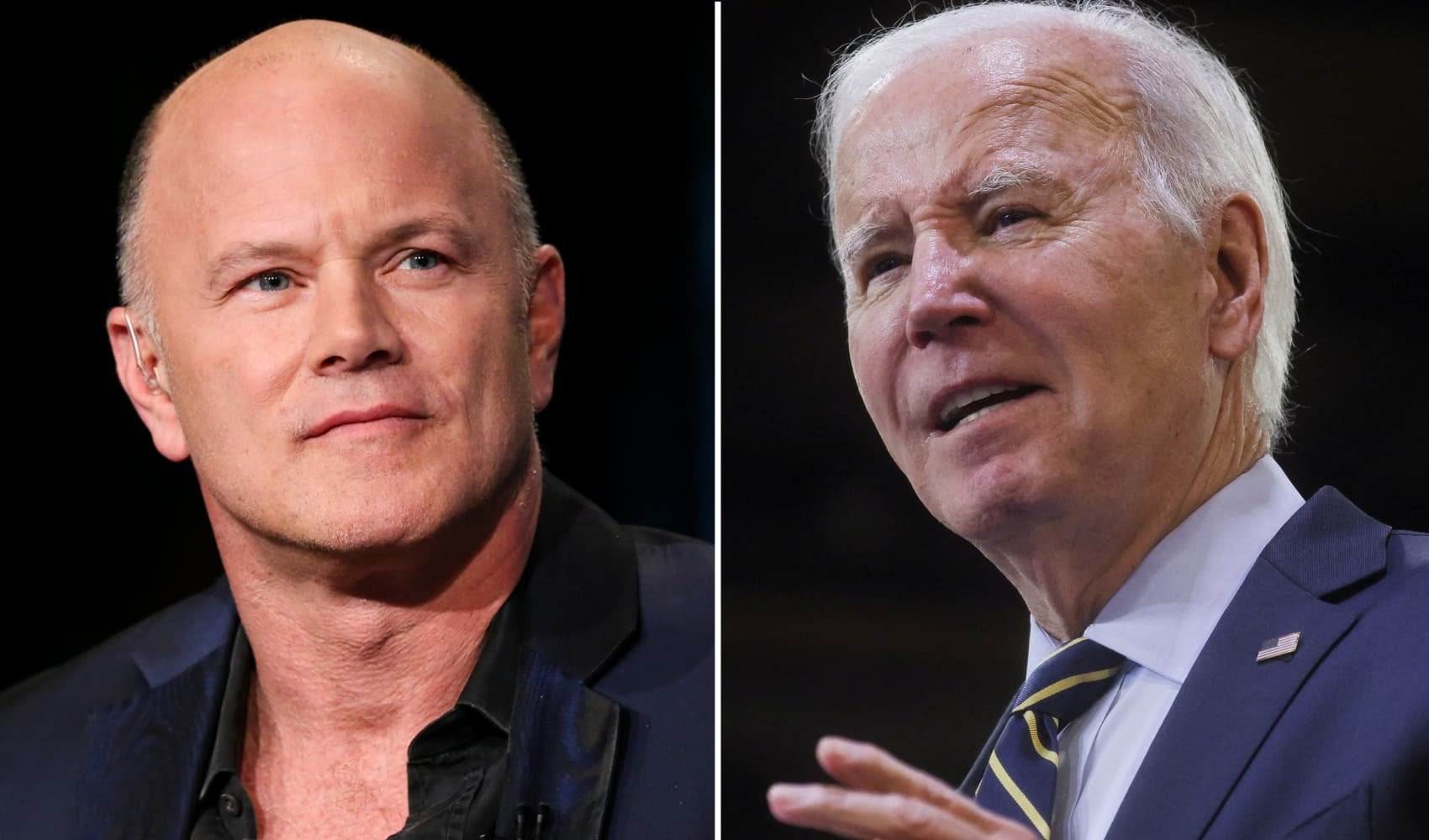 Crypto investor Mike Novogratz, major Biden 2020 donor, to back long shot Dean Phillips - Vimarsana News