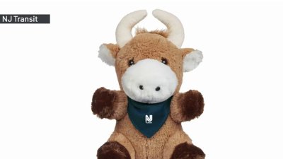 NJ Transit is selling a plush stuffed animal to raise funds to support Ricardo the bull