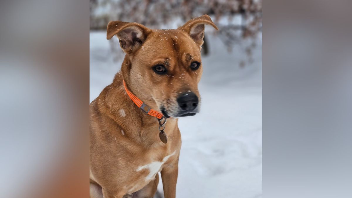 Snow day! See how people are enjoying the winter weather across the