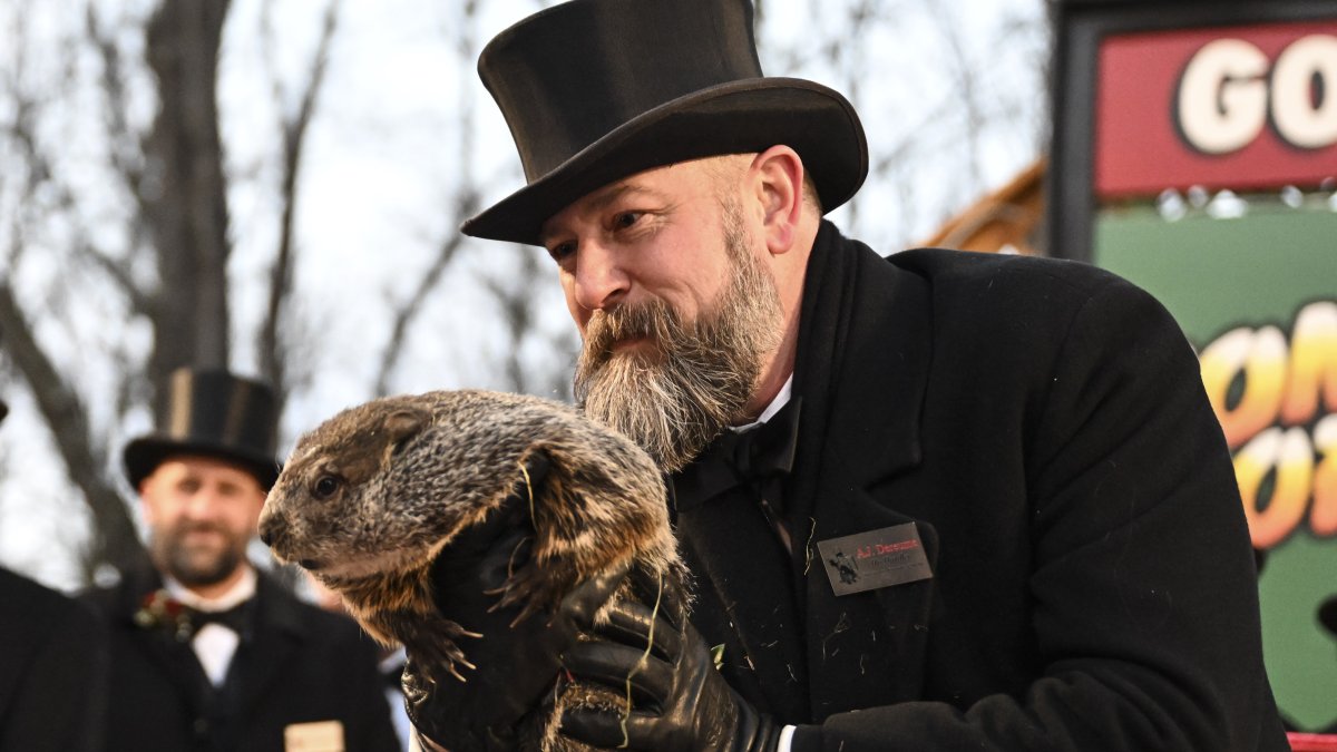The origins of Groundhog Day, Pa.'s Punxsutawney Phil – NBC10 Philadelphia - Vimarsana News
