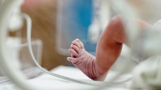 A newborn baby's foot is seen from an incubator.