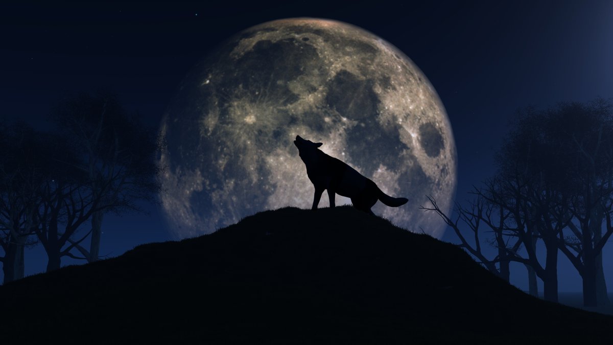 How to see the Full Wolf Moon on Thursday – NBC10 Philadelphia - Vimarsana News