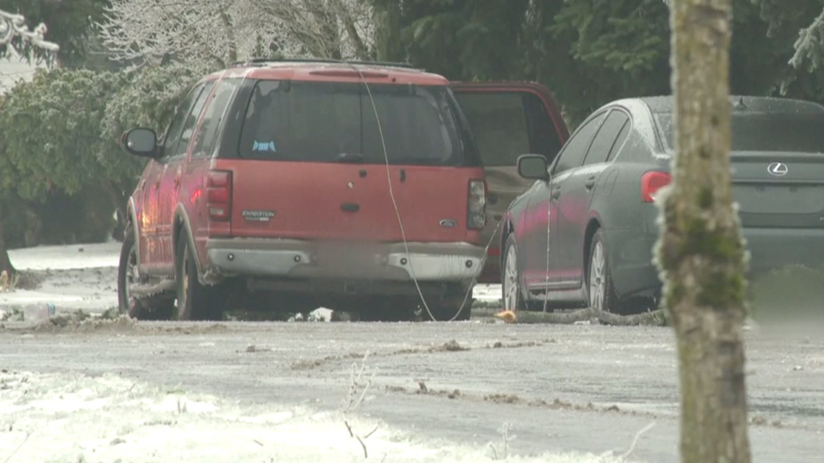 3 dead after power line falls on SUV during Portland ice storm – NBC10 Philadelphia - Vimarsana News