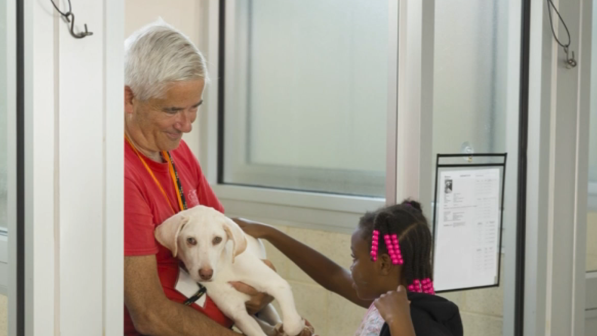 Humane Society of Harrisburg partners with Brandywine Valley SPCA
