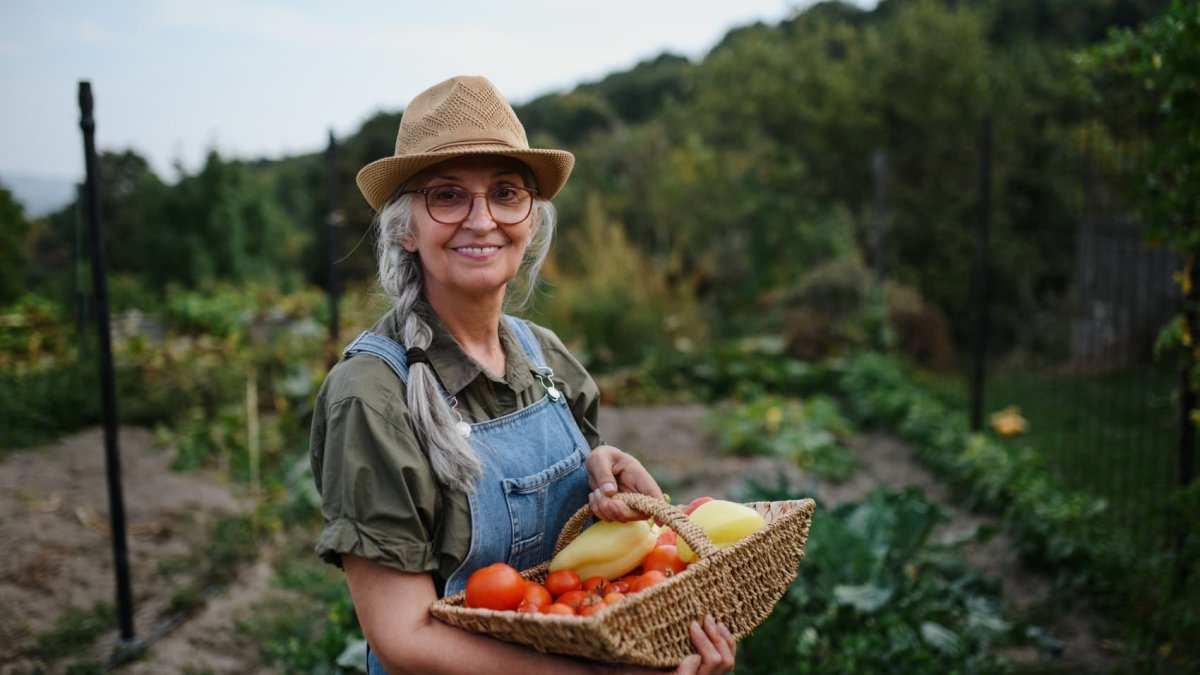 People on this tiny island in Italy live to 100—here's exactly what they eat to live so long - Vimarsana News