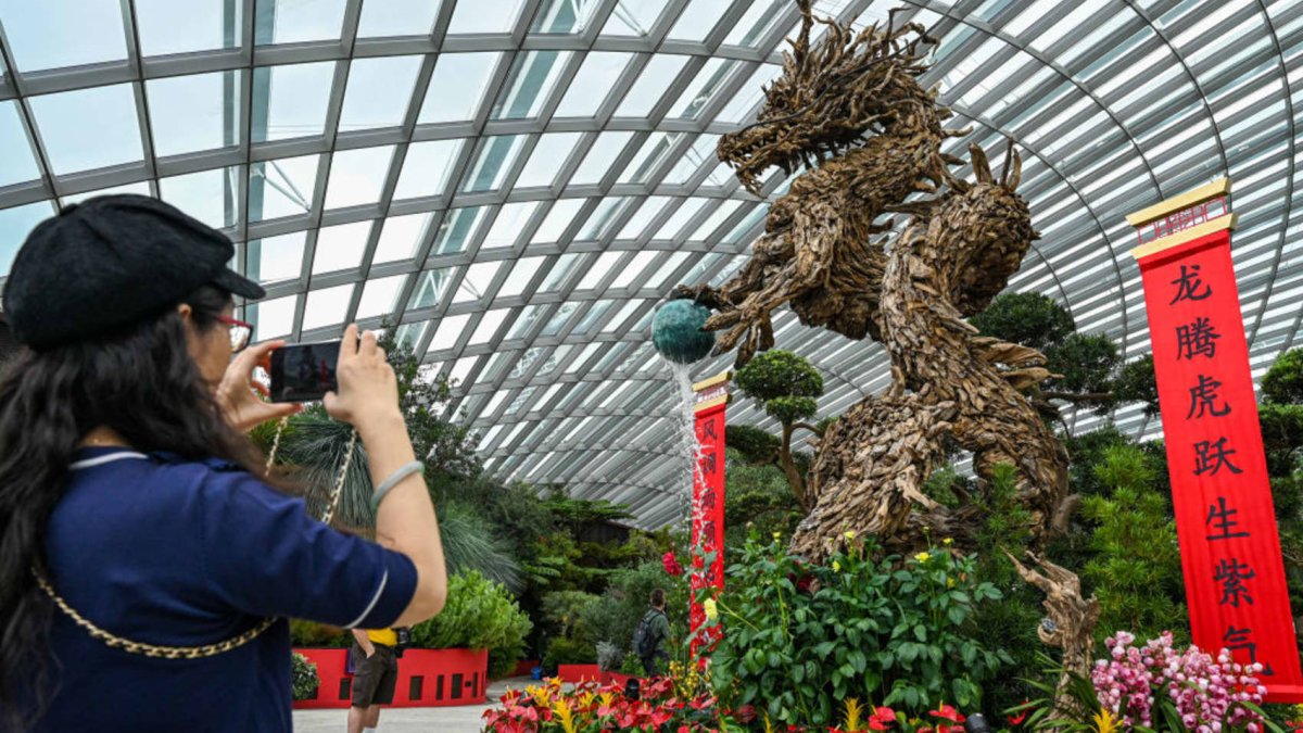 What the Year of the Dragon means for businesses, according to Maybank's fengshui report - Vimarsana News