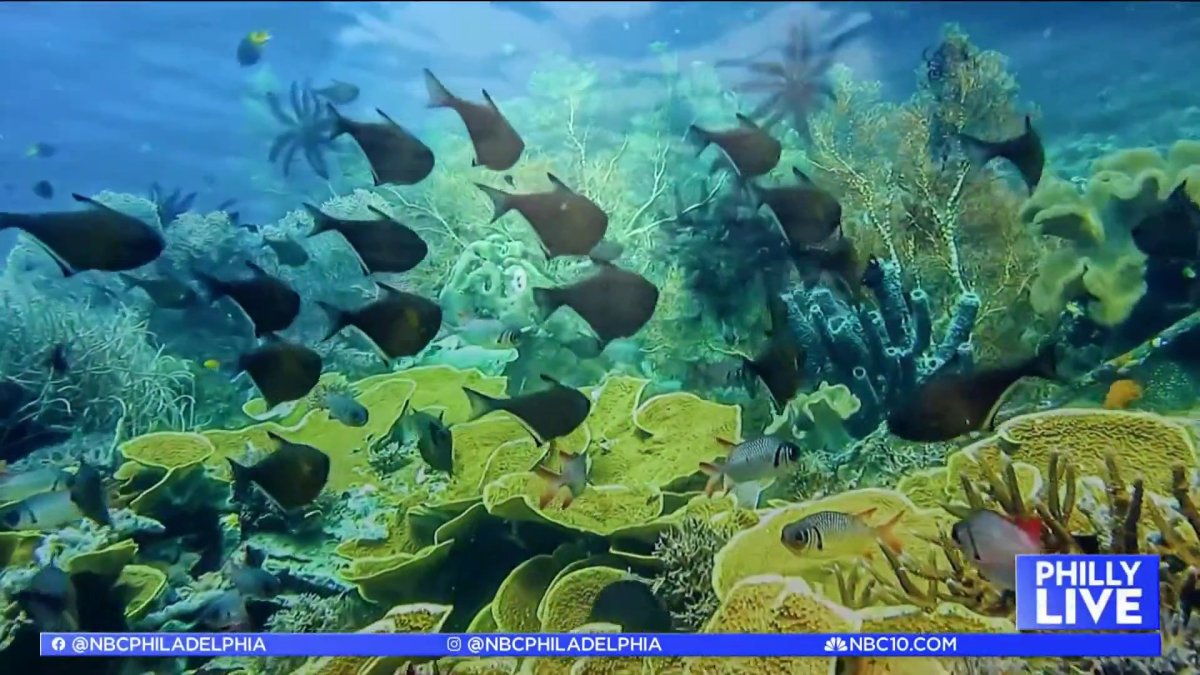 Makeup from the ocean? Meet the owners of Upwell Cosmetics NBC10