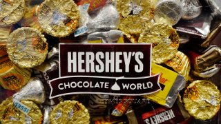 FILE – A mixture of Hershey’s chocolates is displayed in the company’s Times Square store, March 1, 2017, in New York. Hershey is cautioning on its 2024 profit growth as the company contends with rising cocoa costs that are leading to higher prices for chocolate. Cocoa futures prices have doubled over the past year and hit an unprecedented $5,874 per metric ton Friday, Feb. 9, 2024, in intraday trading. (AP Photo/Mark Lennihan, File)